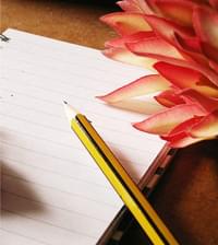 author-avatar